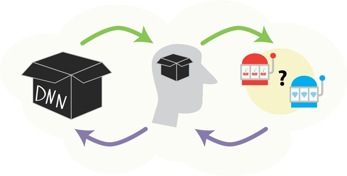 Read more about the article A tale of two black boxes: Deep Learning Models  and Human Cognition