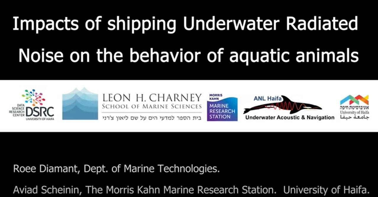 Read more about the article Impacts of shipping underwater radiated noise on the behavior of aquatic animals