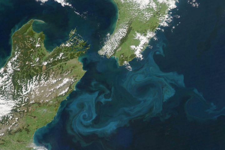 Read more about the article Can we probe the diversity of marine floating algae from space?