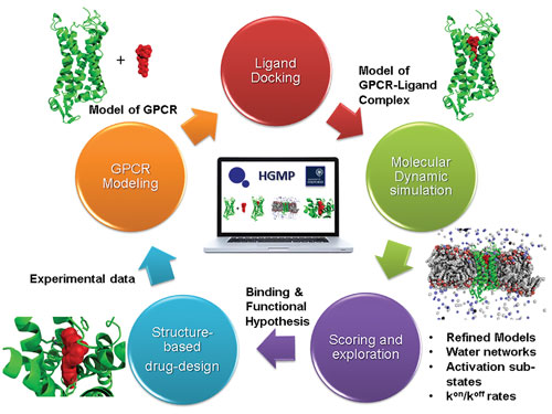 Read more about the article Understanding the proteins language: Is the future medicine here?