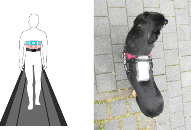 Read more about the article Wearable Sensors for Monitoring Neurological Conditions in Dogs