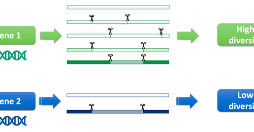 Is it diversity or just a mess? When RNA splicing does not go according to plan